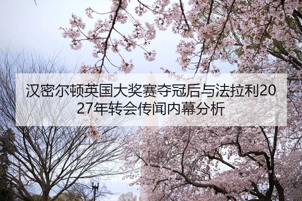 han-mi-er-dun-ying-guo-da-jiang-sai-duo-guan-hou-yu-fa-la-li-nian-zhuan-hui-chuan-wen-nei-mu-fen-xi-2-361.jpg